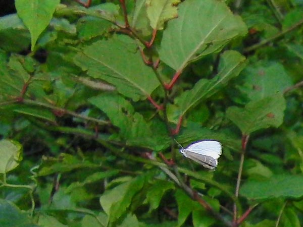 c0045352_23333810.jpg