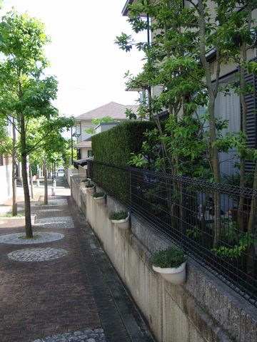 e0083155_18481390.jpg