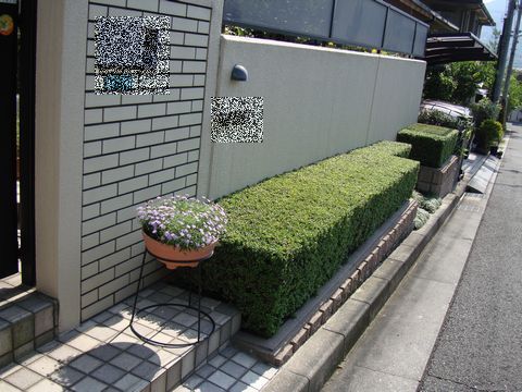 e0083155_18482371.jpg
