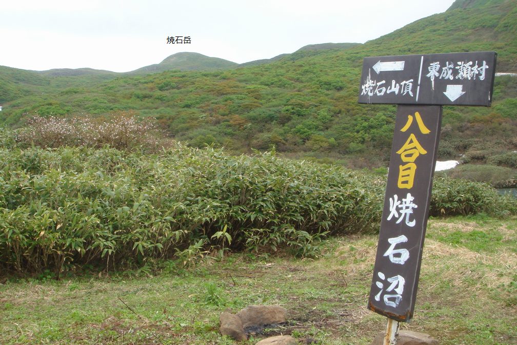 焼石岳 東成瀬村登山口 山行編（8合目～） - 岩手県奥州市_f0137955_21503040.jpg