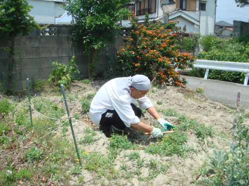 我が家のお化粧直し三日目_c0108460_1448333.jpg