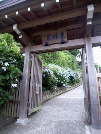 e0052268_19241778.jpg