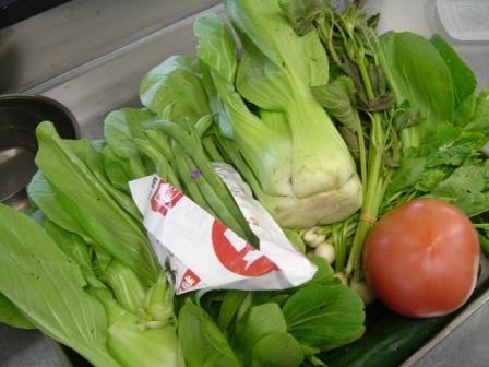 かわいい野菜たち_f0190976_199587.jpg