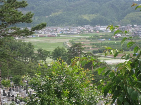 a0087378_631567.jpg