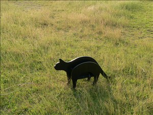 c0116978_092785.jpg