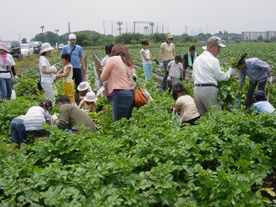 ジャガイモ掘りの実習体験　2009/06/13(土)_c0145581_8433785.jpg