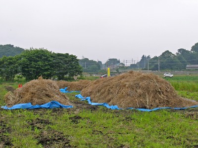 c0145581_86921.jpg