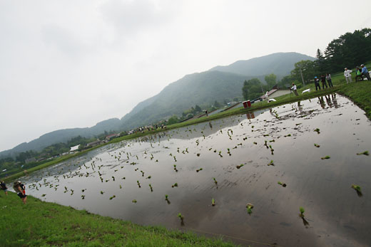 土の節　6月14日 長く濃密な一日の始まり_b0185782_17434190.jpg