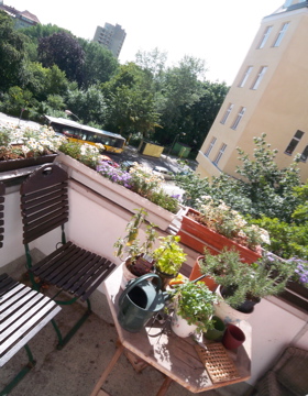 c0180686_16619.jpg