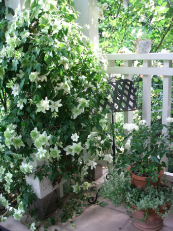 d0099791_9383390.jpg