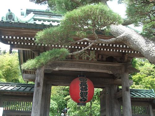鎌倉紫陽花紀行_f0153998_13354980.jpg