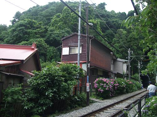 鎌倉紫陽花紀行_f0153998_13565569.jpg