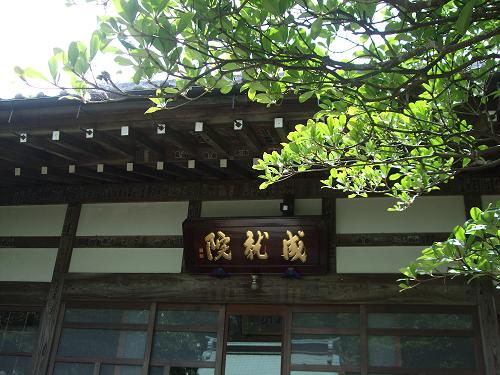 鎌倉紫陽花紀行_f0153998_15155433.jpg
