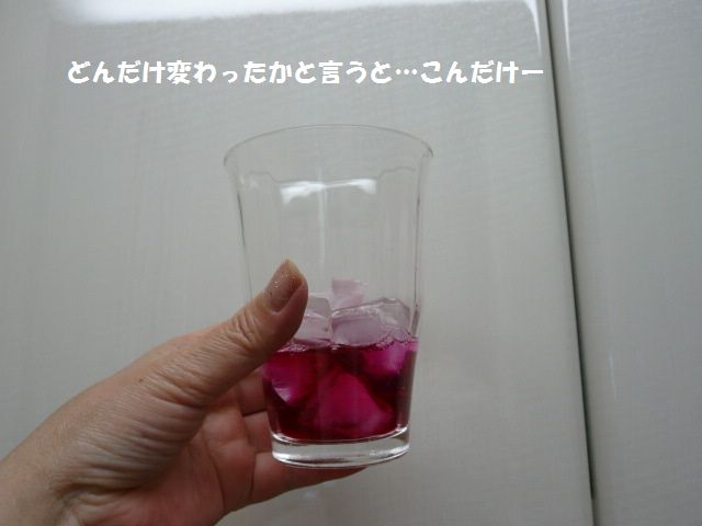 e0094407_16505246.jpg