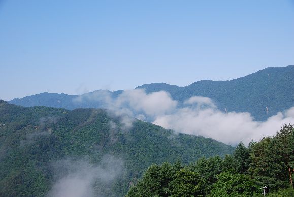 c0149408_1448234.jpg