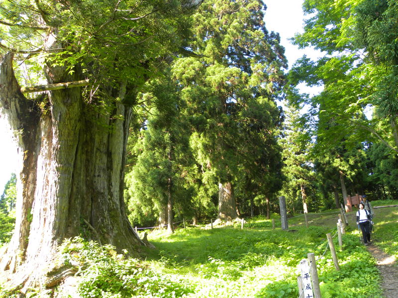 c0078410_1312593.jpg