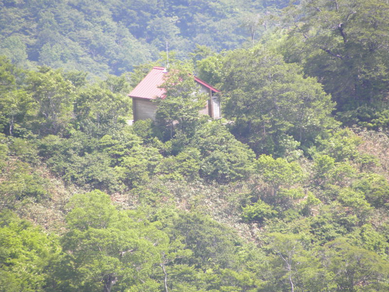 c0078410_14413.jpg