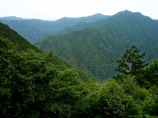e0066210_1195485.jpg