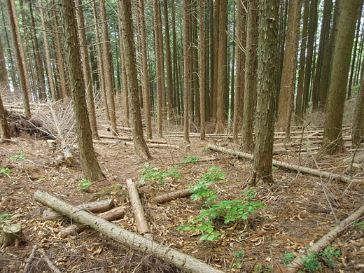 e0066210_2322254.jpg