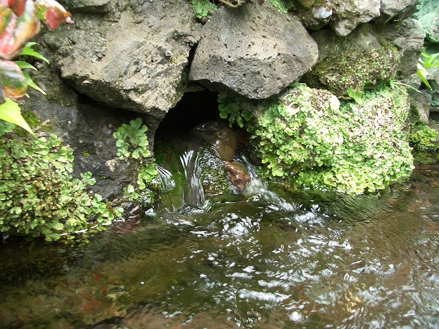 f0141310_23502455.jpg