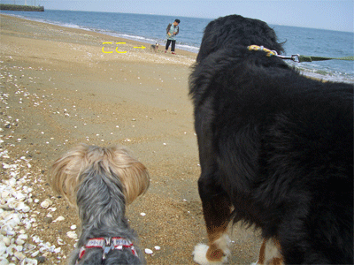 c0143711_16201423.gif