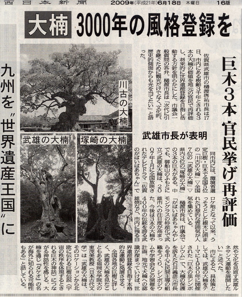 三本の大楠_d0047811_2349650.jpg