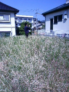 プレゼンテーション M様邸_e0029115_1451350.jpg