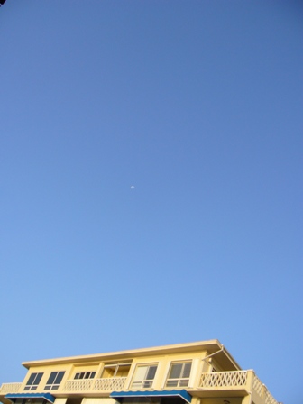 e0049015_518578.jpg
