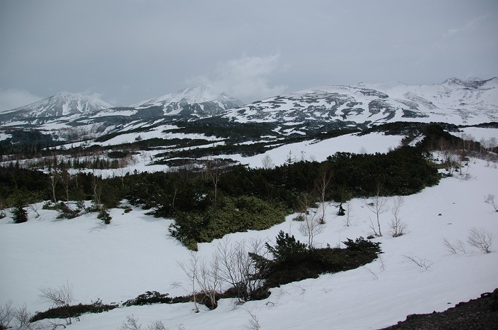 b0152416_23112549.jpg
