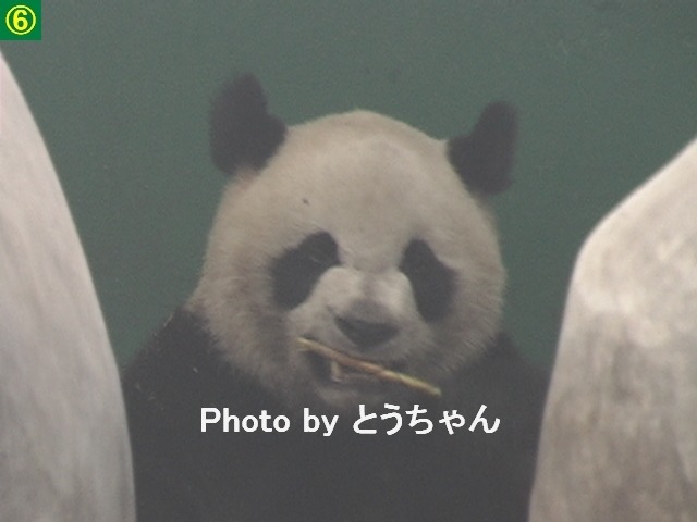 f0079716_0445132.jpg