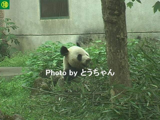 f0079716_1292415.jpg