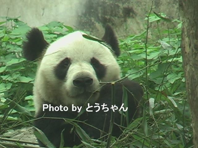 f0079716_130203.jpg