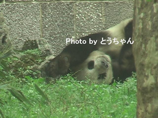 秋浜との意外な再会(2009.04.30)_f0079716_1304266.jpg