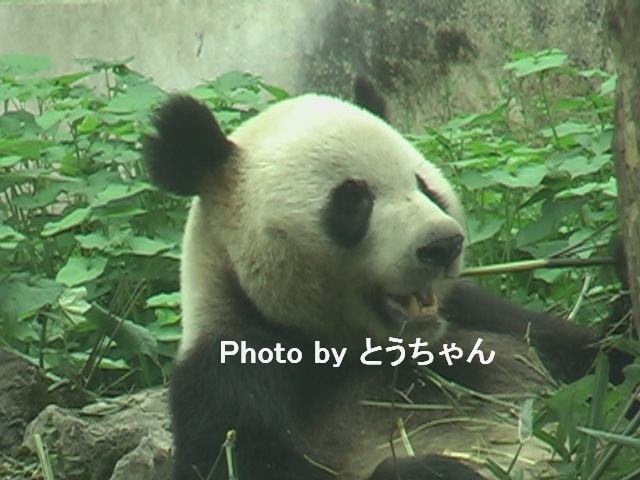 f0079716_130978.jpg