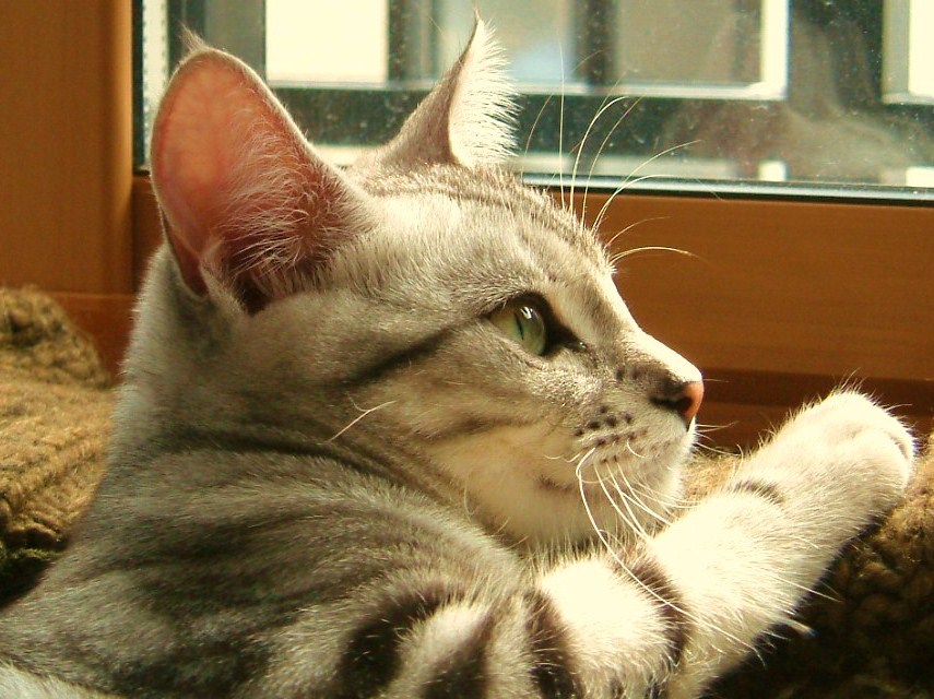 a0129020_16351152.jpg