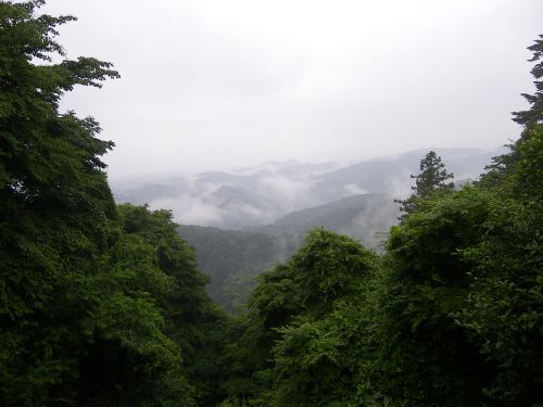 高尾山と うかい鳥山で生ホタル 坂上領の雨男日記 高尾山と うかい鳥山で生ホタル 坂上領の雨男日記