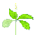 c0043751_272192.gif