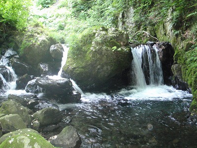 c0097754_2348024.jpg