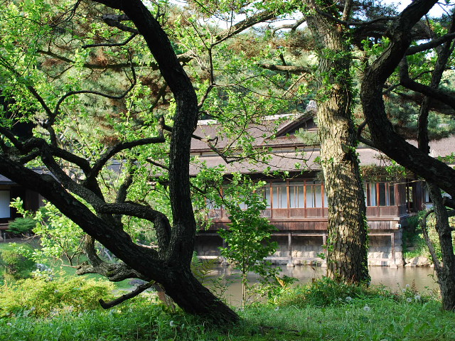 横浜三渓園・臨春閣_a0110756_22352394.jpg