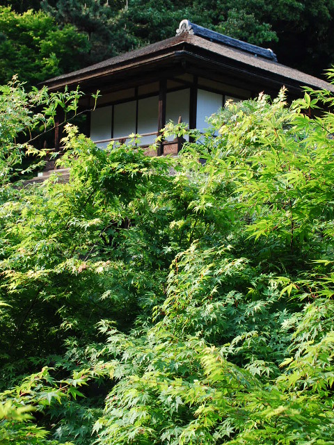 横浜三渓園・臨春閣_a0110756_22373481.jpg