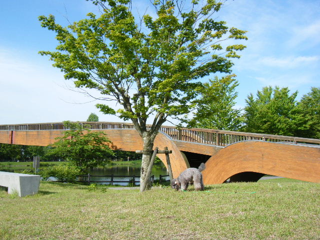 軽井沢の小旅行(パート4：「矢ヶ崎公園」へ)_e0129656_075951.jpg