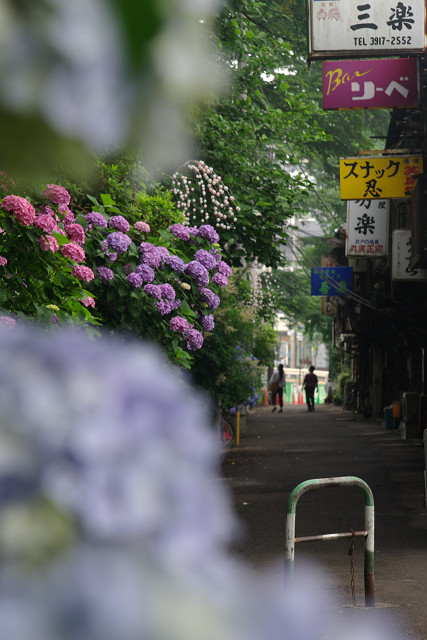 王子　　ナゾの乗り物／ あじさい新道 _c0080357_19291419.jpg