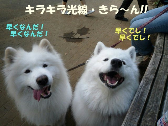 ★久しぶりのドデカ公園でし編★_e0176159_12495372.jpg