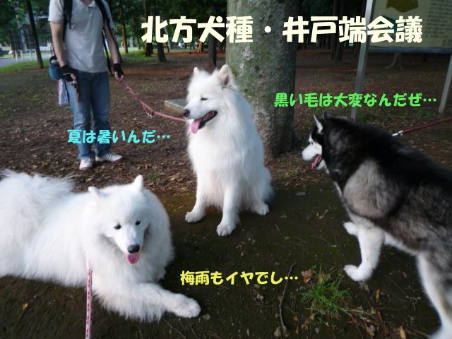 ★久しぶりのドデカ公園でし編★_e0176159_12554549.jpg