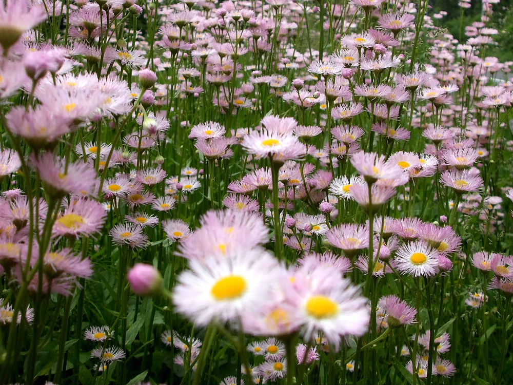 b0067569_9513118.jpg
