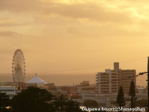 c0139375_132043.jpg