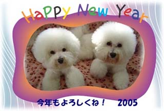 新年☆２００５年☆_c0086880_1115436.jpg