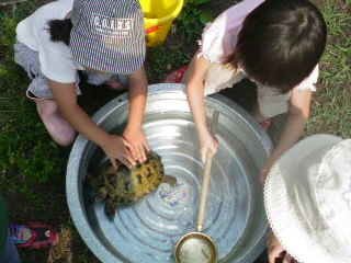f0209080_3412854.jpg