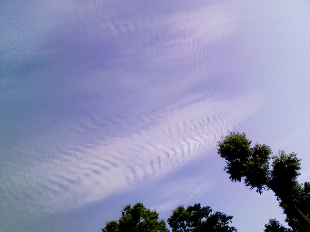 f0016783_012515.jpg
