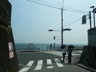 2009年6月17日 なんじゃこれ????_b0098584_6153881.jpg
